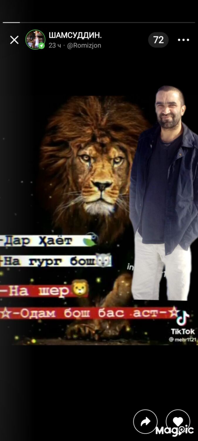 ���� 31431132 ������� ����, 45 ���, ���� ���������� � ������