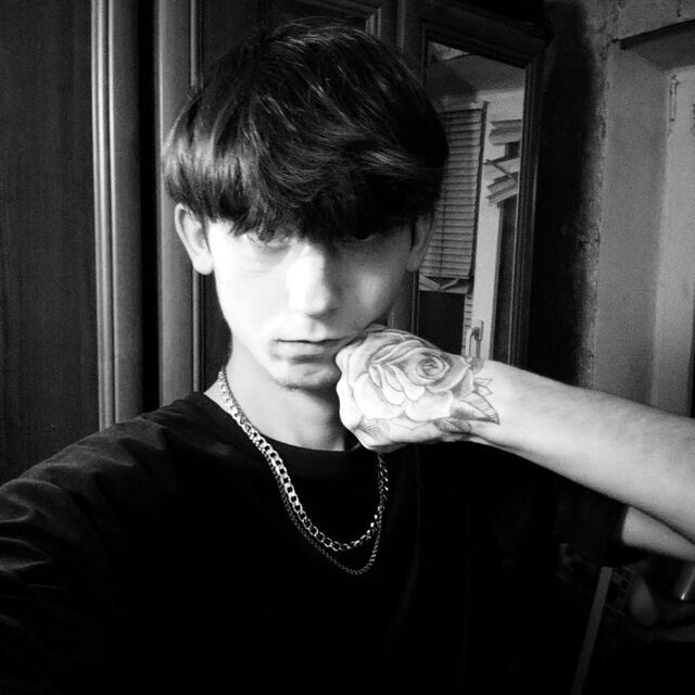 ���� 55343142 ����� �������, 23 ����, ���� ���������� � �������