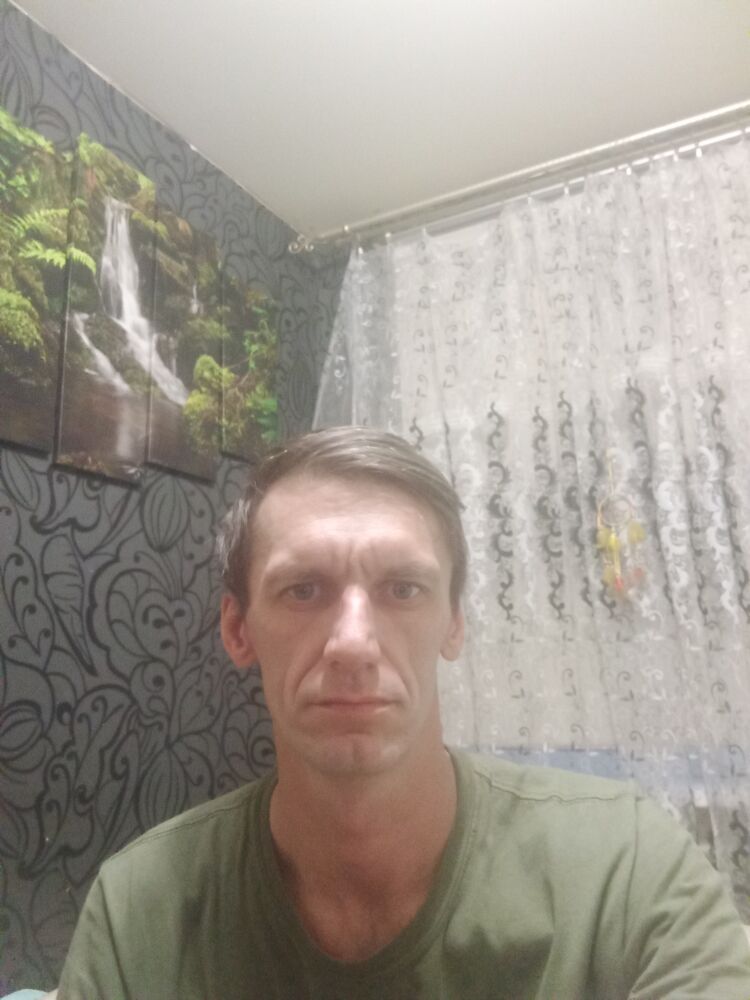  24404222  , 43 ,    