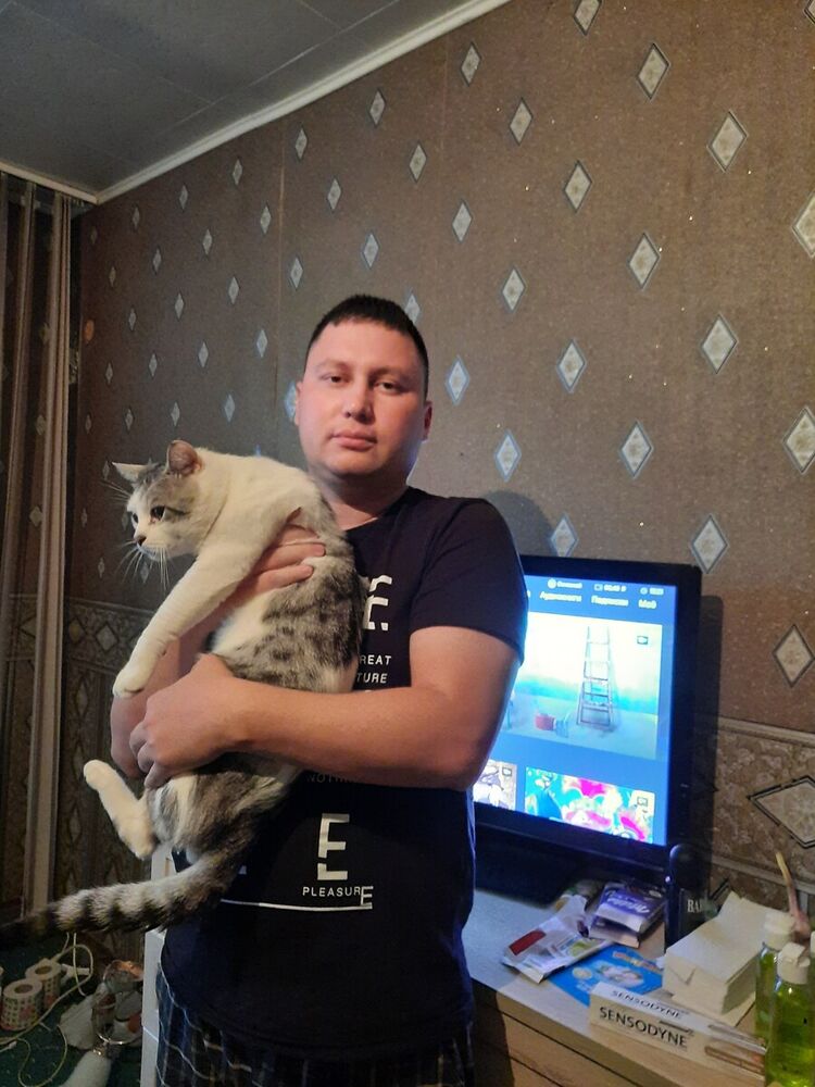 ���� 22342572 ������� ���� �������, 30 ���, ���� ���������� � ������