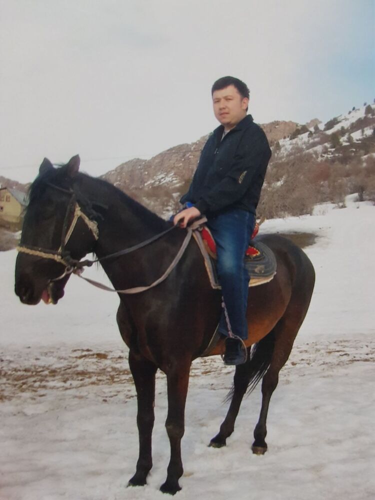 ���� 23446622 ������� ������, 43 ����, ���� ���������� � ��������