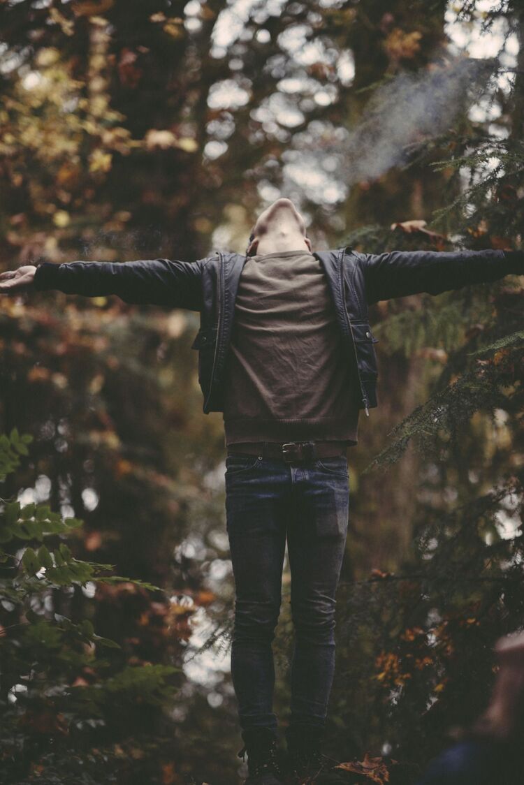 ���� 33287172 ������� ����������, 42 ����, ���� ���������� � ���������