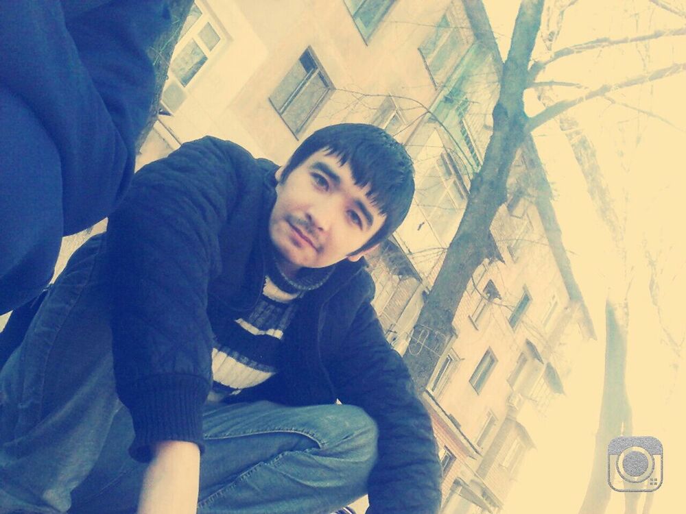 ���������� �������, ���� ������� BOXODIR, 36 ���, ������������ ��� ������