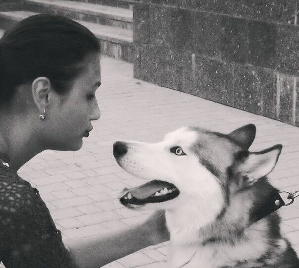 ���������� �����������, ���� ������� ��������, 34 ����, ������������ ��� ������, ����� � ���������, c�������� ���������