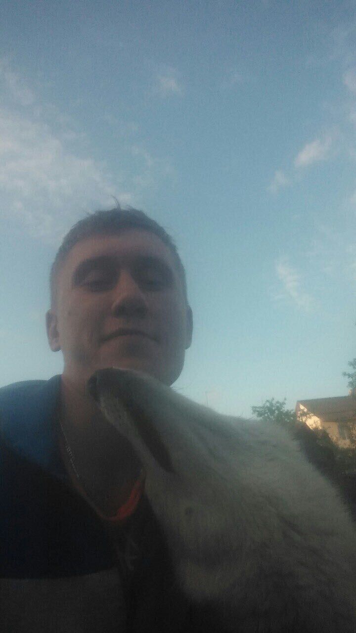 ���� 41643372 ������� �������, 38 ���, ���� ���������� � ������