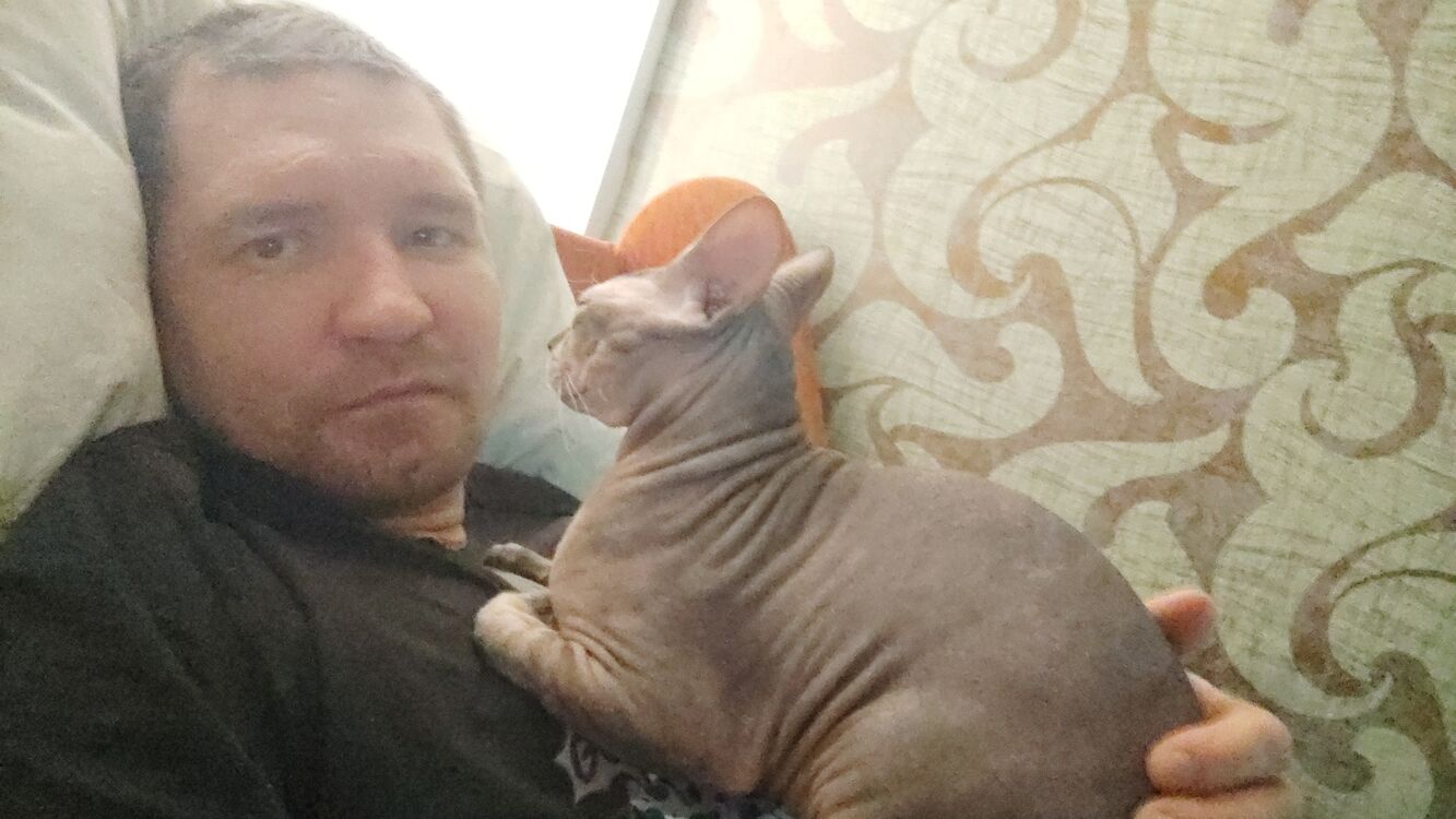 ���� 42737552 ������� ����, 36 ���, ���� ���������� � ������