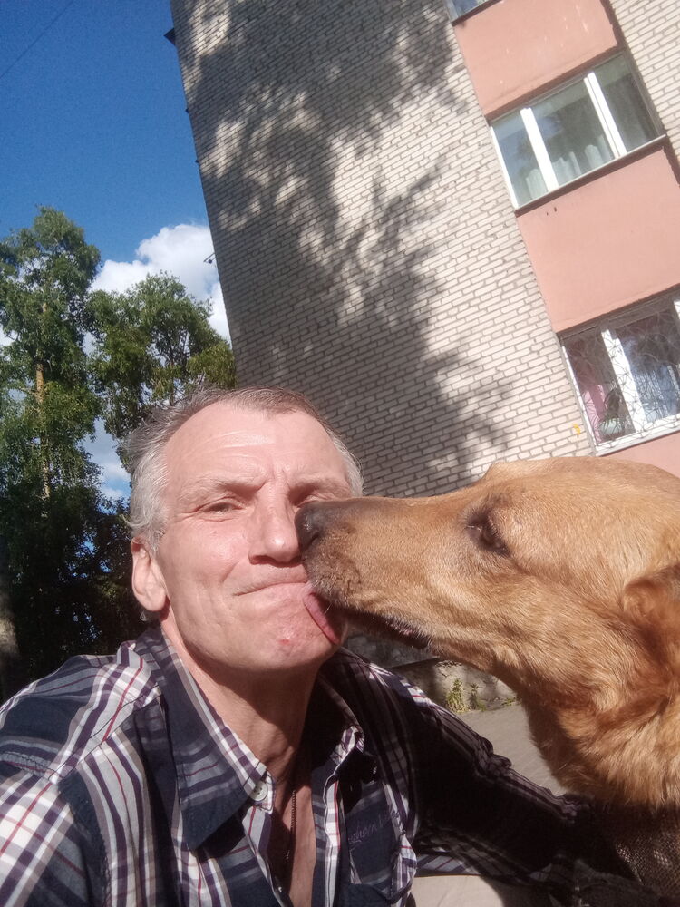 ���� 24390142 ������� ������, 48 ���, ���� ���������� � ������