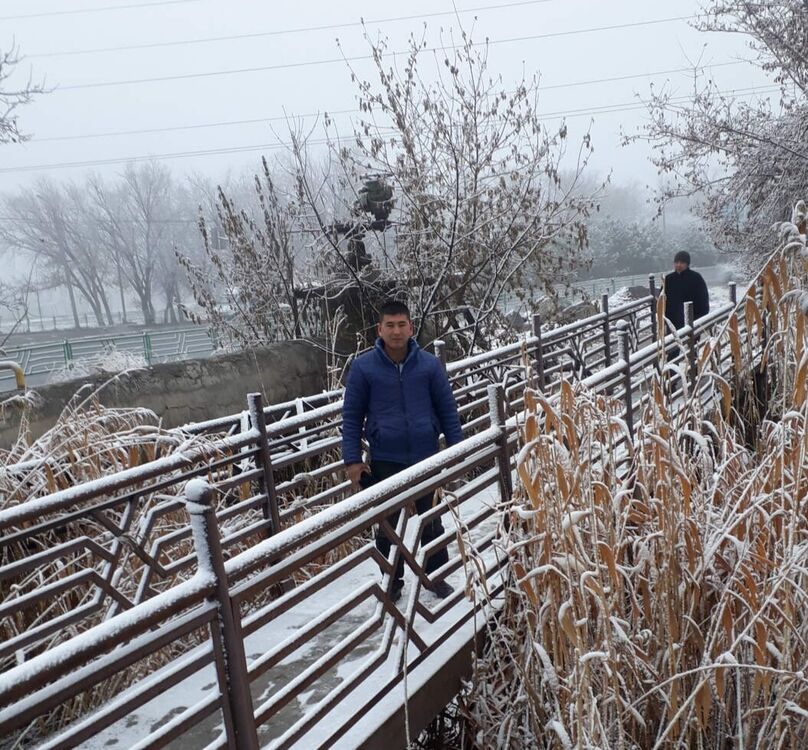 ���� 37385422 ������� ��������, 31 ���, ���� ���������� � ���������