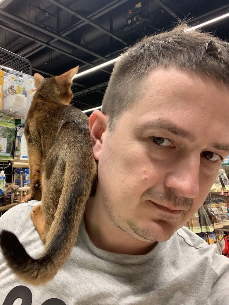 ���� 27785692 ������� ����, 40 ���, ���� ���������� � ������