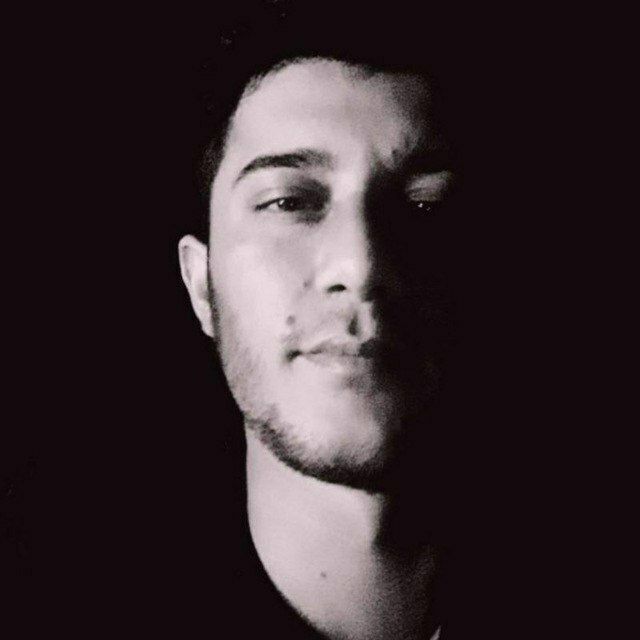  31239012  , 33 ,    -