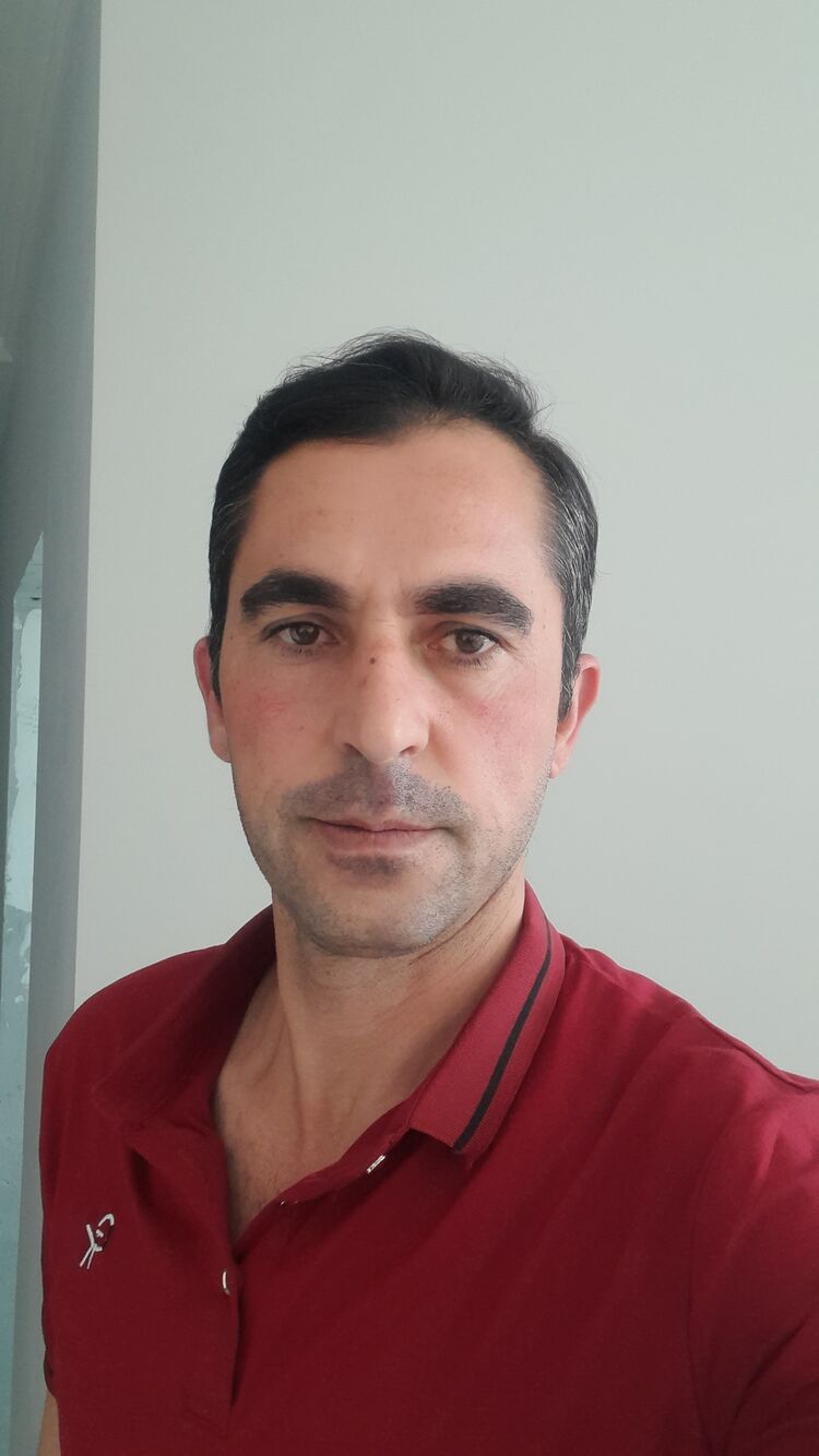 28158572  , 43 ,    