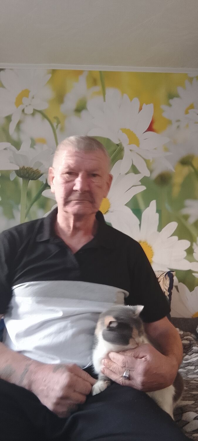  ,   , 61 ,   ,   