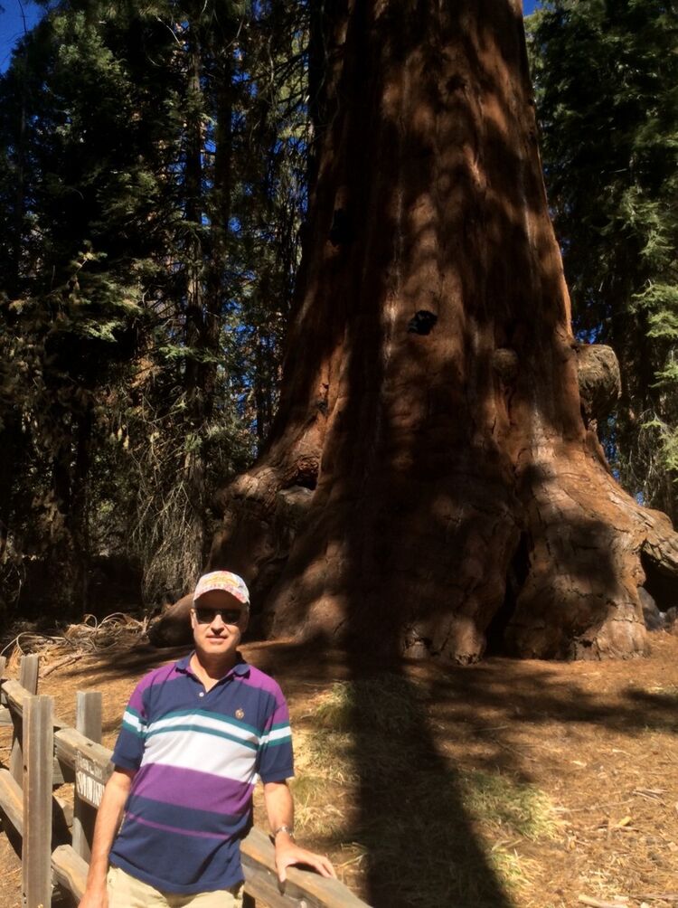 ���������� ������, ���� ������� �������, 65 ���, ������������ ��� ������, ����� � ���������, c�������� ���������