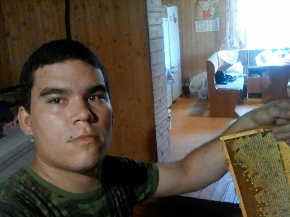  21204602  , 31 ,    