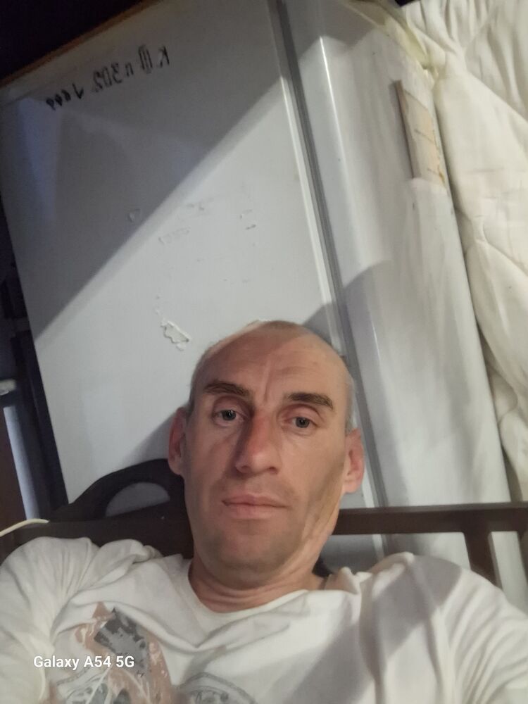  51764782  , 47 ,    