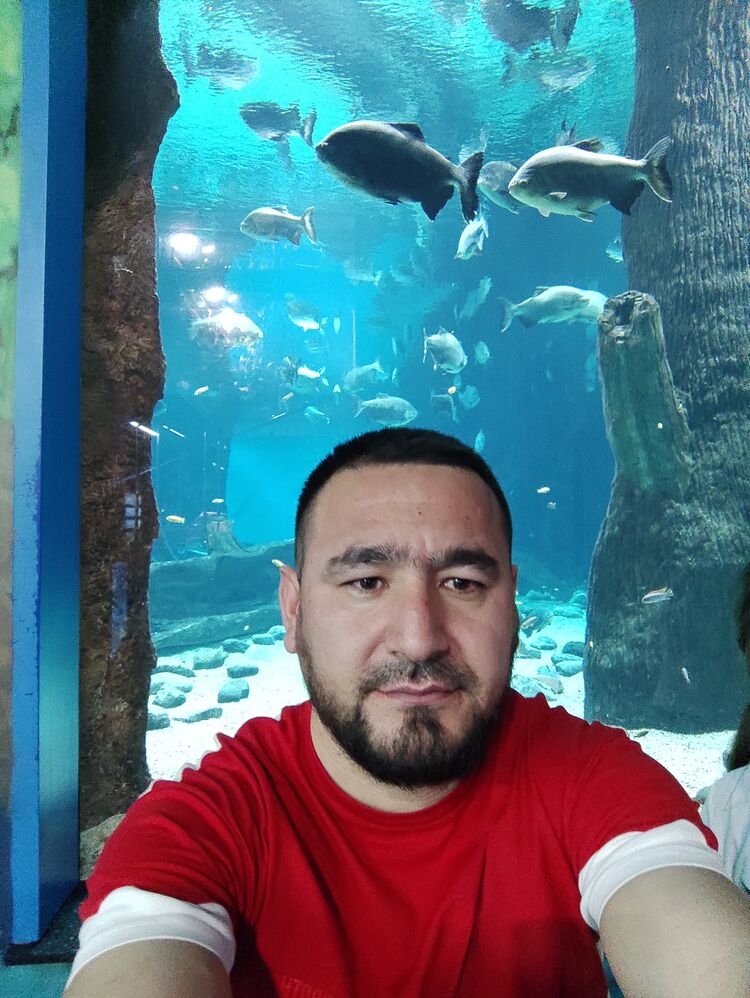 ���������� ������, ���� ������� ��������, 26 ���, ������������ ��� ������, ����� � ���������