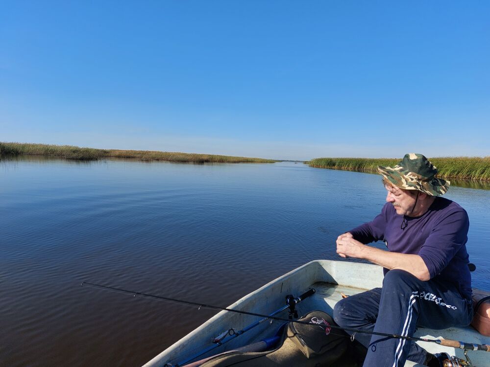 ���� 55930922 ������� ������, 64 ����, ���� ���������� � �����-����������