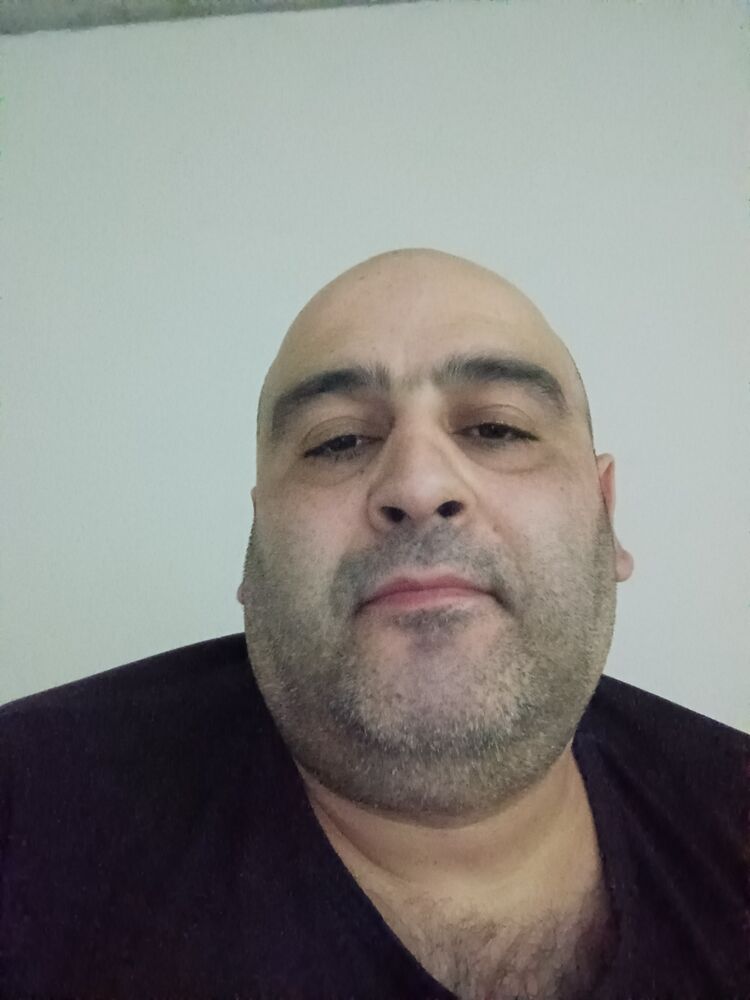  33329532  , 43 ,    