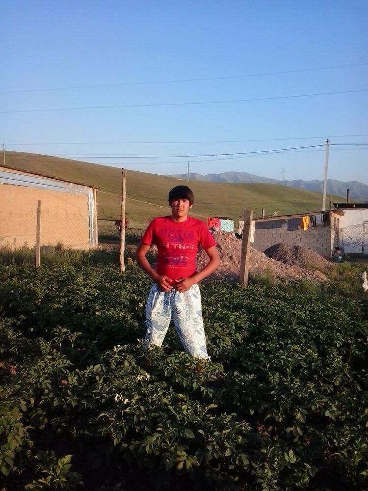  -,   Tiko, 29 ,   ,   , c 