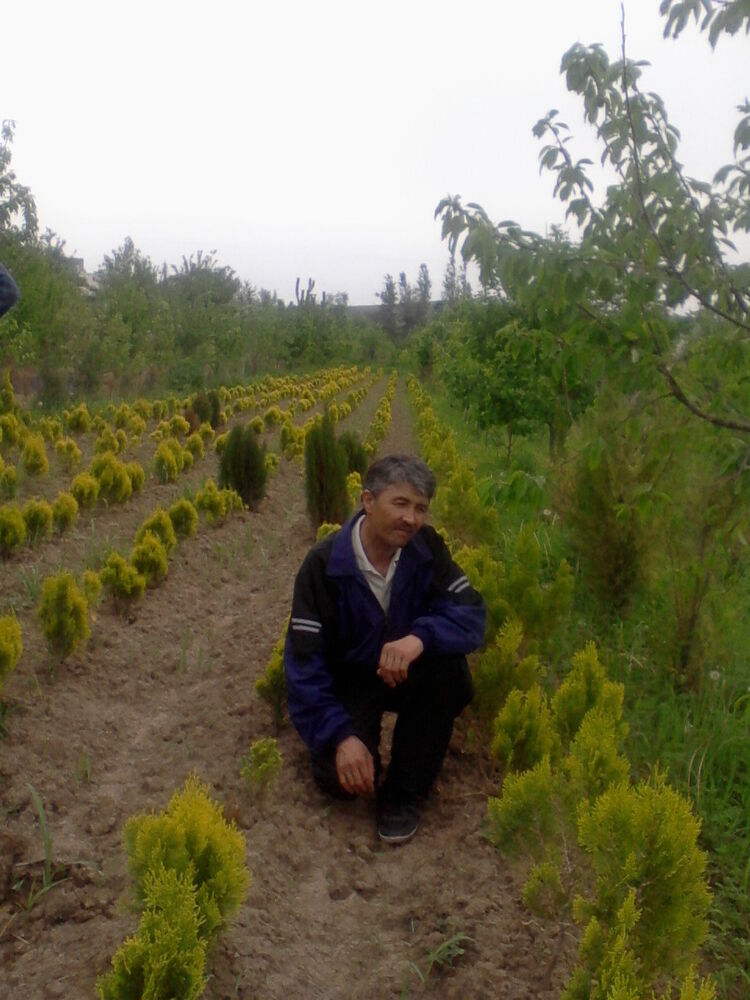 ���� 4537552 ������� �����, 56 ���, ���� ���������� � �������