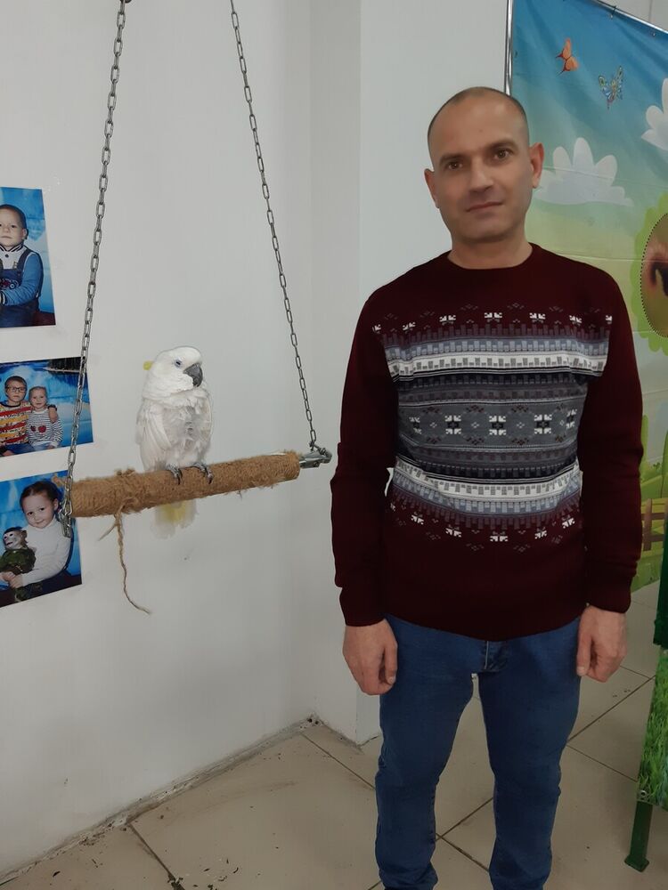 ���� 21605842 ������� ���������, 44 ����, ���� ���������� � ��������