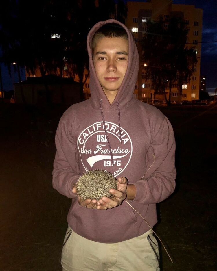 ���� 27318002 ����� ������, 23 ����, ���� ���������� � ������