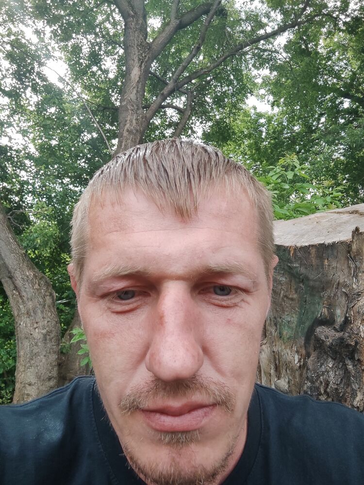  44115612  , 38 ,    