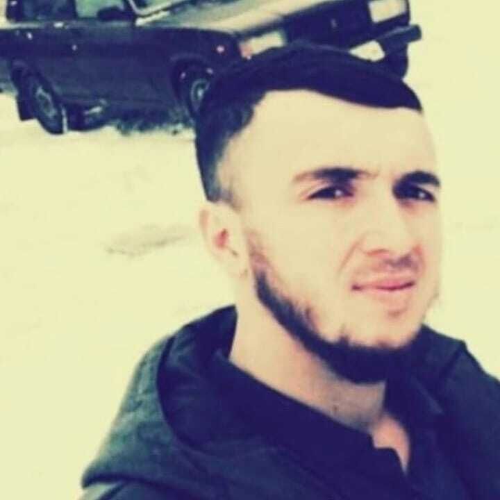  44439322  , 31 ,    