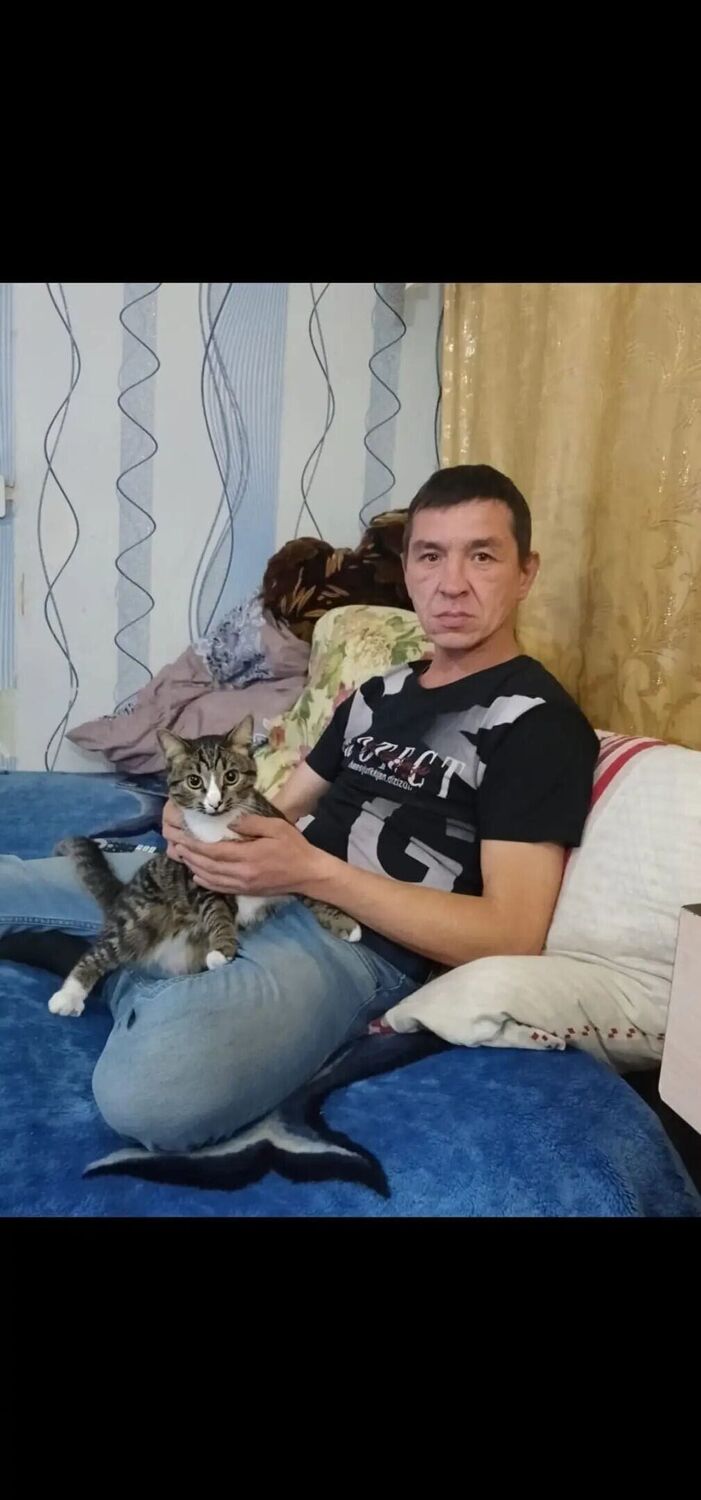   ,   , 42 ,   ,   