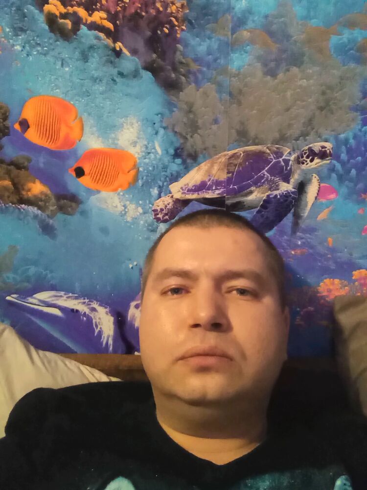  34229272  , 39 ,    