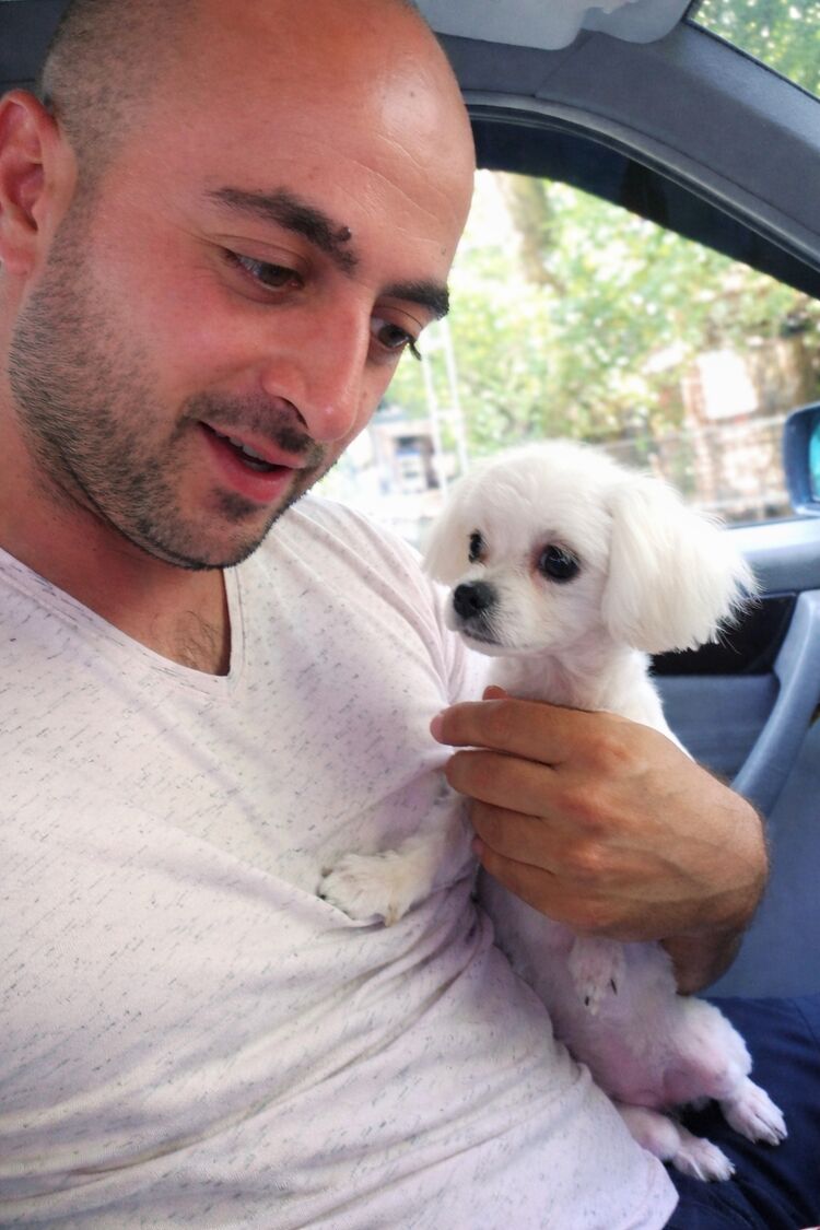 ���� 56175252 ������� Sam, 40 ���, ���� ���������� � �������