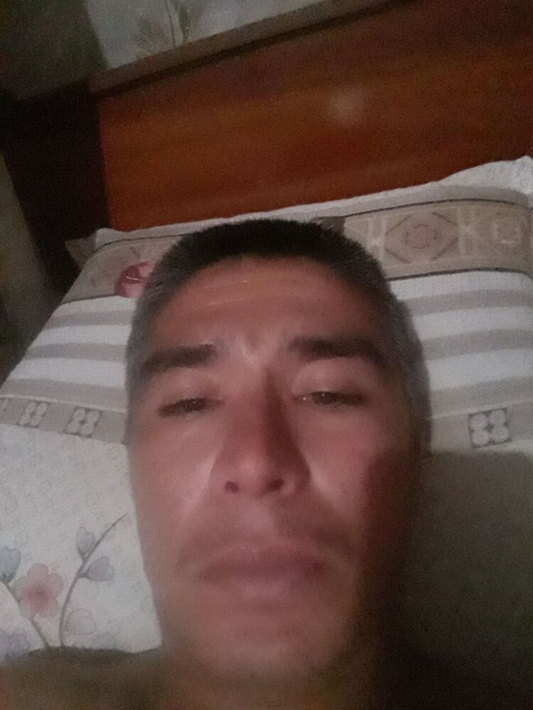  23761432  , 37 ,    