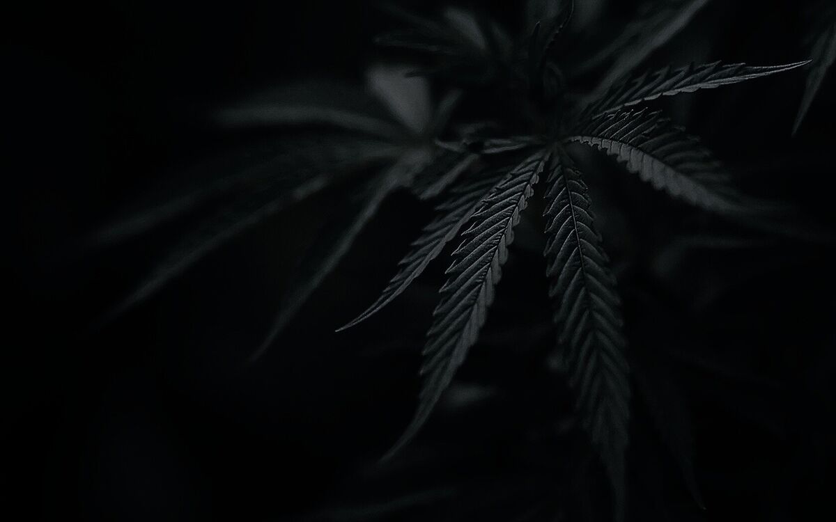 ���� 28017292 ����� � enamy, 23 ����, ���� ���������� � �������