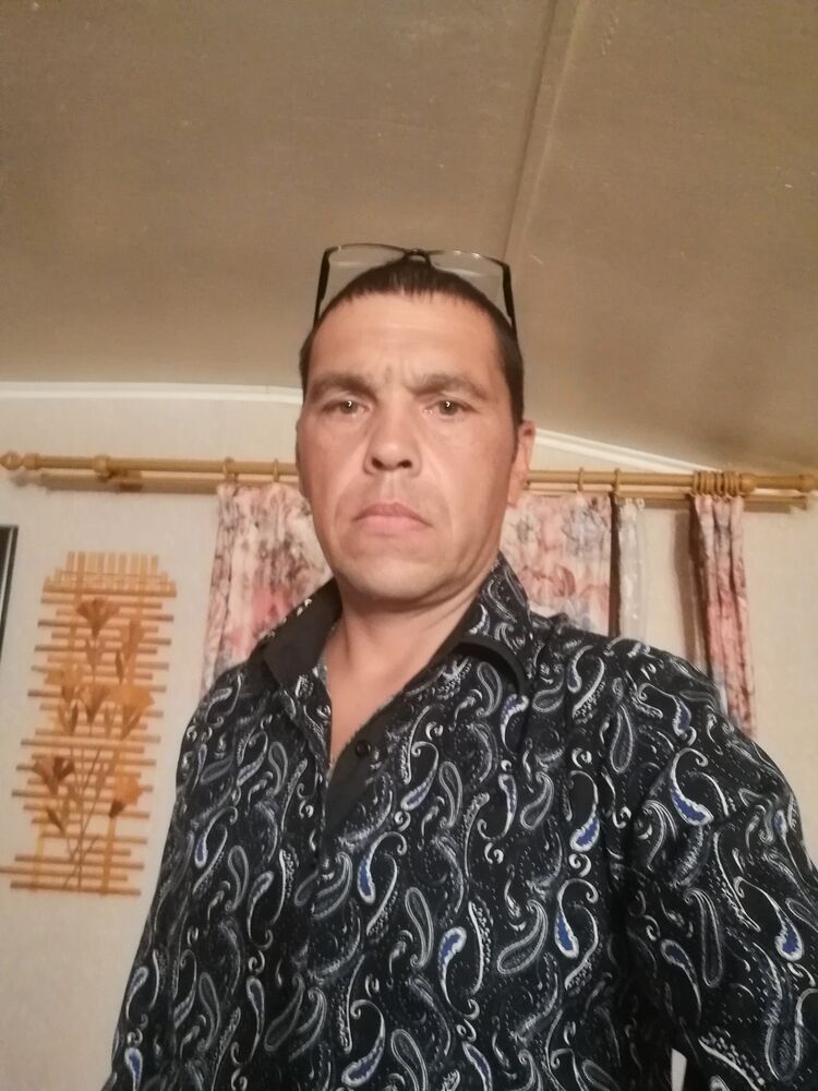  46174162  , 43 ,    