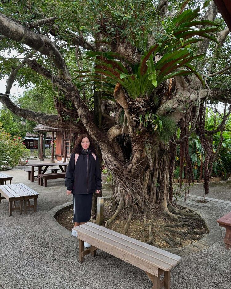 ���� 53088332 ������� ��������, 32 ����, ���� ���������� � ������