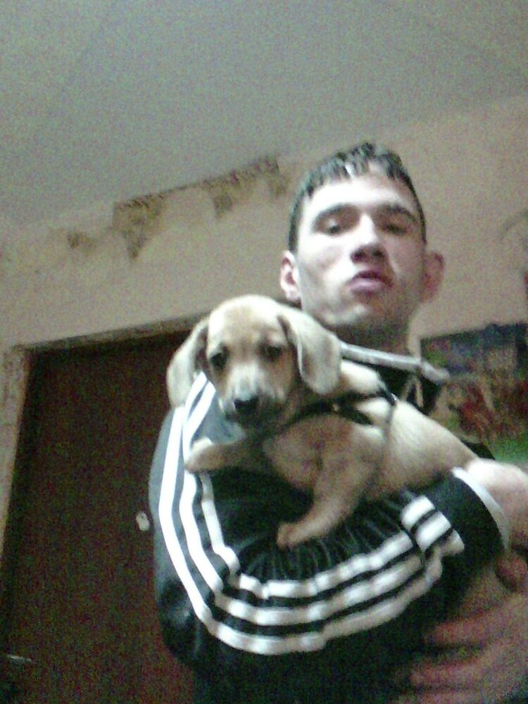 ���������� ������, ���� ������� ������, 32 ����, ������������ ��� ������, ����� � ���������, c�������� ���������