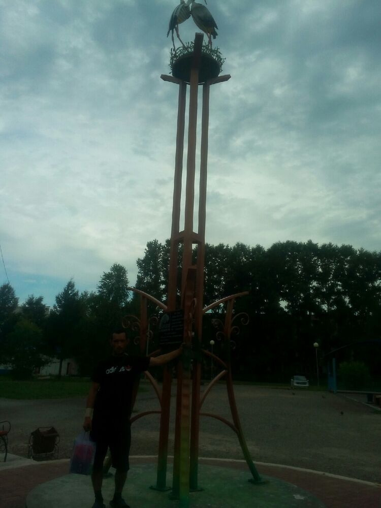 27417262  , 41 ,    