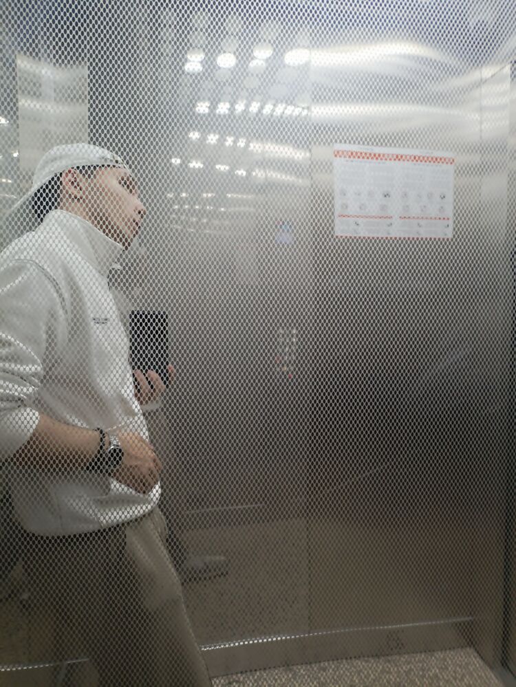 ���� 51802622 ����� �������, 18 ���, ���� ���������� � �������