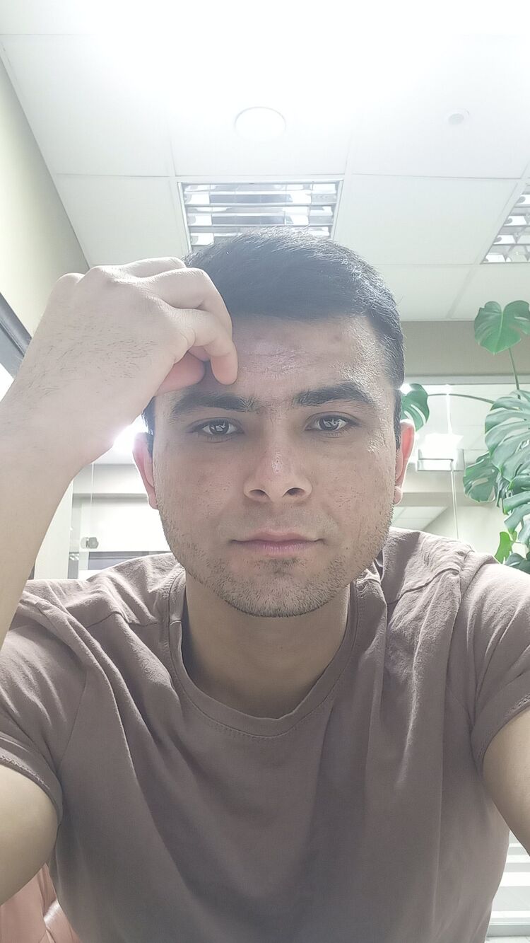  32632602  , 31 ,    