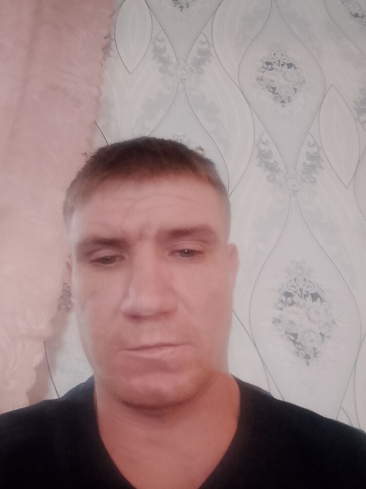  51990422  , 33 ,    