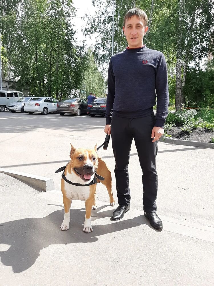 ���� 37201342 ������� ������, 32 ����, ���� ���������� � �����������