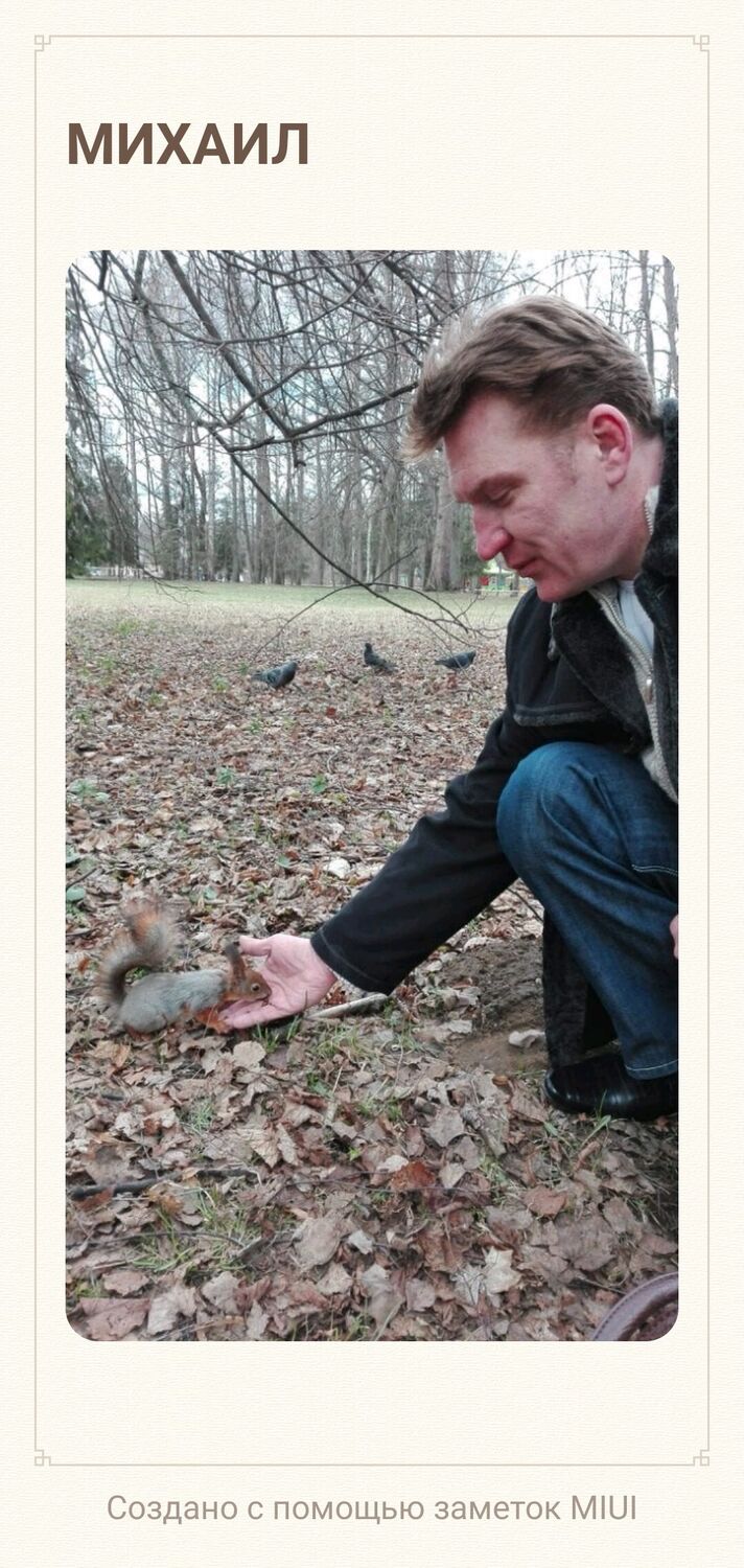  33553702  , 49 ,    -