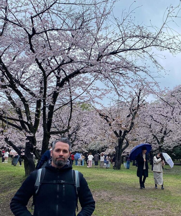 ���� 55636822 ������� �����, 35 ���, ���� ���������� � ���������