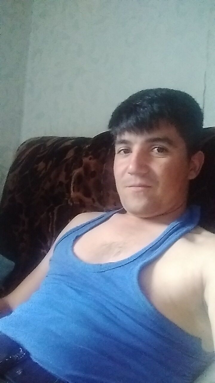  33745182  , 28 ,    