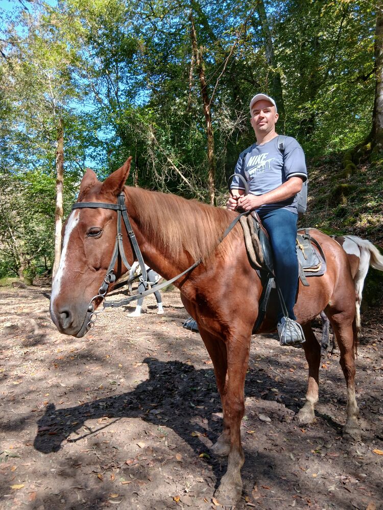 ���������� ���������, ���� ������� �����, 33 ����, ������������ ��� ������, ����� � ���������, c�������� ���������