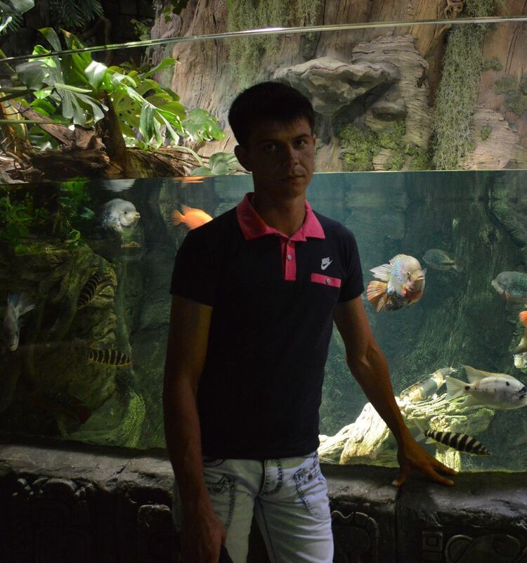  ,   Igor, 37 ,   ,   , c , 