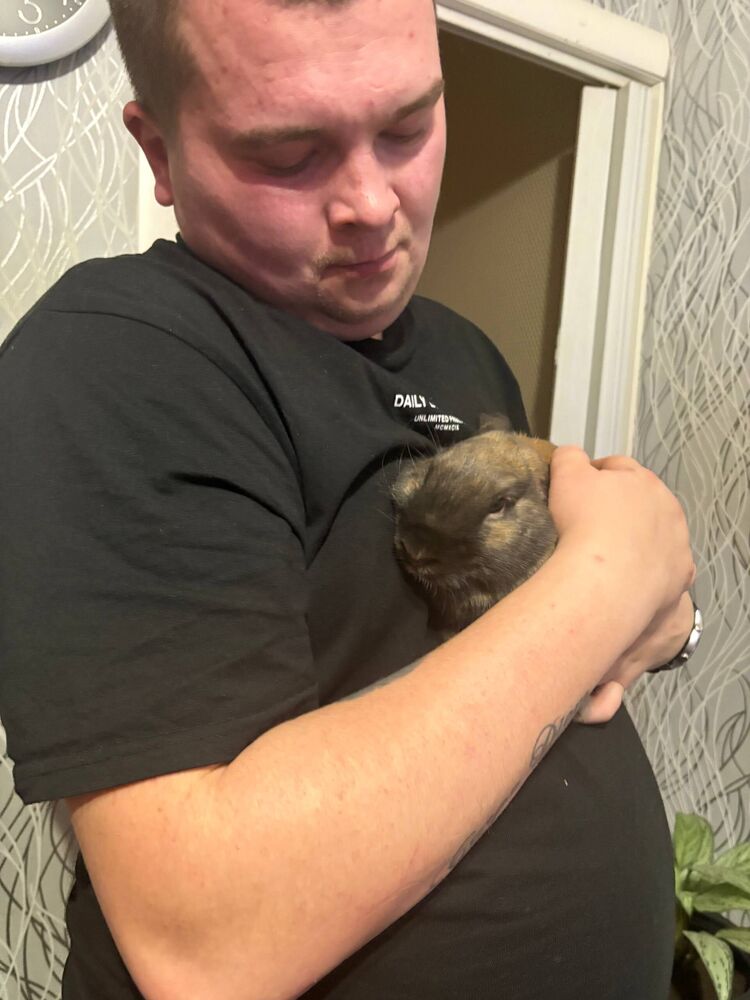 ���� 55085672 ������� ����, 27 ���, ���� ���������� � �������������