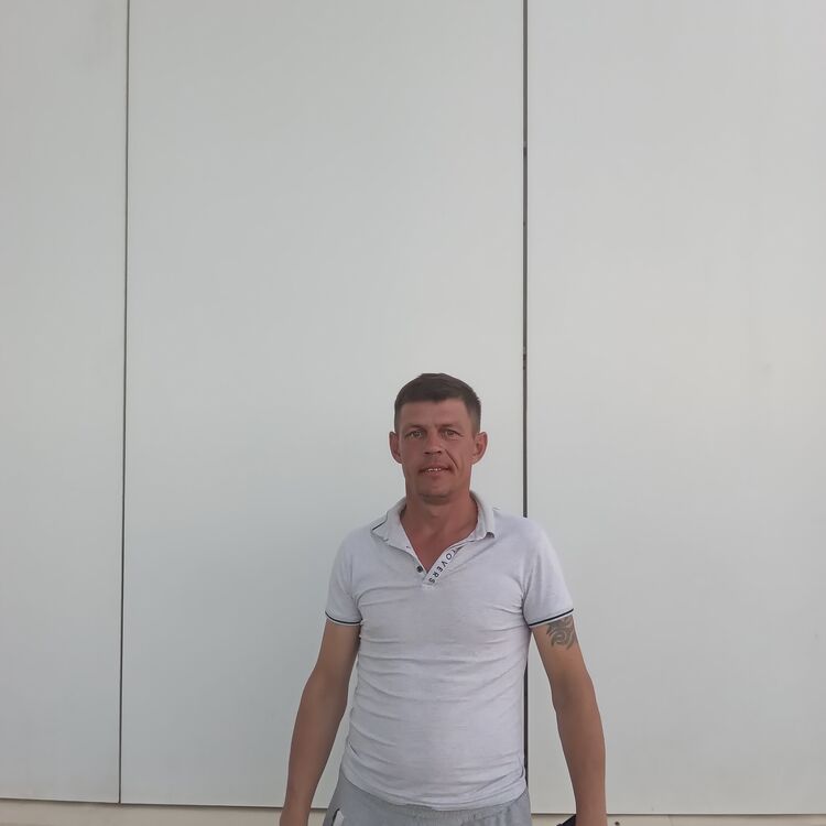  28368262  , 47 ,    