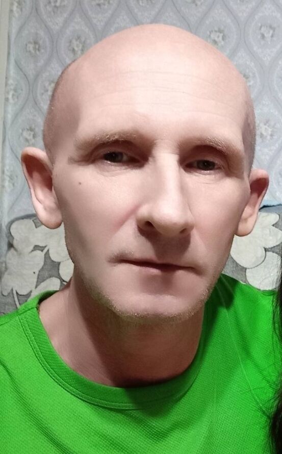  43648272  , 62 ,    