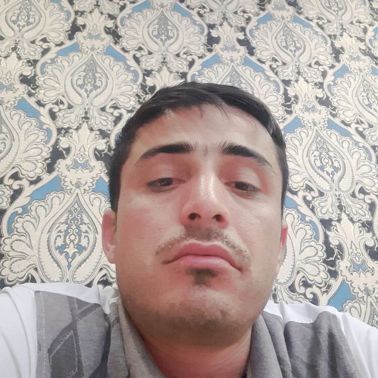 ���� 40141352 ������� ����, 32 ����, ���� ���������� � ������